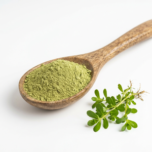 Poudre de Brahmi de qualité supérieure, poudre d'herbes naturelles pour fournisseur et exportateur en gros - Product Image 1
