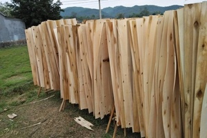 Placage de bois d'acacia du Vietnam, grain naturel, écologique, durable, noyau en contreplaqué coupé rotativement (longueur 1270 mm, qualité industrielle) - Product Image 5