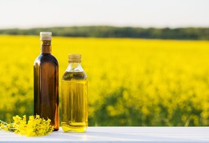 Aceite de Semilla de Mostaza Prensado en Frío, Aceite Portador, Certificado GMP y Kosher, AARNAV GLOBAL EXPORTS - Product Image 2