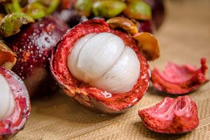 Mangosteen fresco | 100% Fruta orgánica al por mayor de Vietnam | El mejor precio y alta calidad - Product Image 6