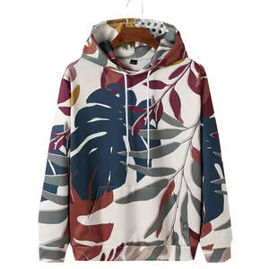Sudadera con Capucha de Invierno de Corte Regular, Tejido de Forro Polar Transpirable y Ecológico de Alta Calidad para Venta al por Mayor para Hombre - Product Image 1