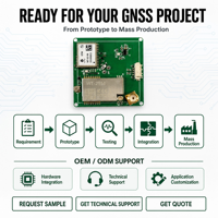 WT-43-RK-LORA Placa Receptora GNSS RTK de Doble Frecuencia con Comunicación por Estación Base LoRa