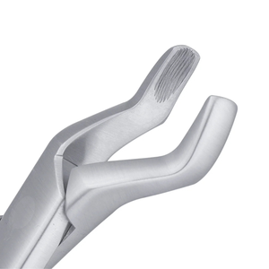 Pinzas de Extracción de Molares Superiores 210S, Instrumento Quirúrgico Dental de Acero Inoxidable, Agarre Ergonómico Manual - Product Image 6