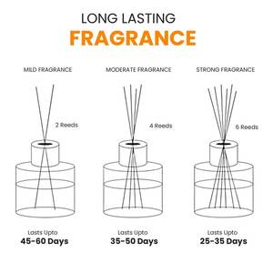 Bâtonnets diffuseurs en rotin naturel disponibles en vrac, qualité export, pour bouteilles d'huiles essentielles - Product Image 6
