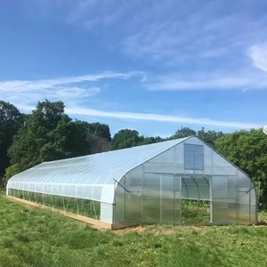 Invernadero Pequeño de Doble Capa de PE de Bajo Costo para Agricultura, Equipo Agrícola Premium para Cultivo en Entorno Controlado - Product Image 2