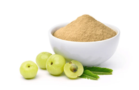 Extrait Pur d'Écorce d'Amla en Vrac de Fabricants Directs, Poudre Végétale Sauvage Cultivée, Séchée Naturellement, Emballage Sous Vide OEM/ODM