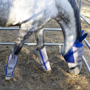 รองเท้ากันแมลงวันสำหรับม้า ยี่ห้อ BRAND ZONE แบบปรับได้ ระบายอากาศได้ดี ป้องกันขาสำหรับม้า ผู้ค้าส่ง อุปกรณ์สำหรับม้า - Product Image 4