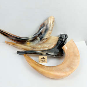 สวดมนต์ราคาที่ดีที่สุด RAM Horn shofar Israel Kosher ยิวยิว yemenite shofar ธรรมชาติ Hashanah Kosher kudu - Product Image 6