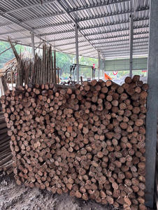 Eucalipto Desbastado de Suministro Industrial para Aplicaciones Multinacionales - Product Image 4