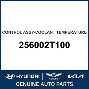 G70 Nouvelles pièces et accessoires pour voitures et camions 256002T100 - Product Image 1