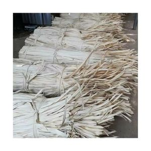 MOST WANTED Dried Corypha Leaf For Efficient Craft Weaving Raw Material And Interior <b>Wall</b> Hanging Decor Unit Cargo Box - Product Image 1