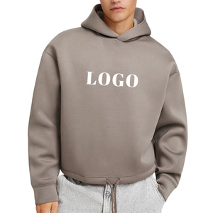 High Quality Luxury Hoodie y2k plain Hoodies 100% Cotton Fleece Pullover Heavyweight men's Hoodie - Product Image 1