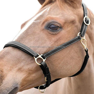 Licou en cuir noir de qualité supérieure robuste et réglable avec coutures contrastées et matériel en laiton solide et durable - Product Image 5