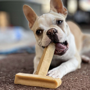 Friandises Naturelles Premium pour Chiens : Artisanat Naturel, Riches en Calcium et Protéines, Emballage Personnalisé, Vente en Gros, Friandises au Fromage pour Chiens - Product Image 1