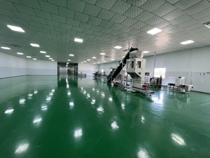 Cashew & Fruit Processing Factory 5-100 T/Day Auto Raw Cashew Nut Food Grade Stainless Steel TTQ Brand Vietnam - Product Image 5