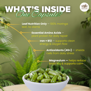 Cápsulas de Moringa JIVVYA 500 Mg, 120 Cápsulas Vegetales, Fórmula de Hoja Entera, Sin Aditivos, Sin Gluten, Sin Maíz - Product Image 3