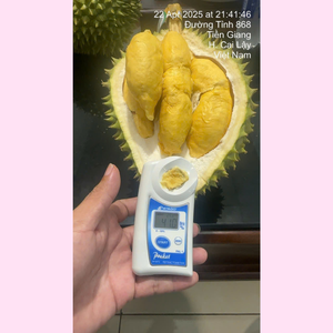 Durian Fresco y Seco de Grado COMUN de Vietnam, Variedad RI6, Peso 2.5-4.5kg, VHFood Premium, 1 Mes de Caducidad - Product Image 1