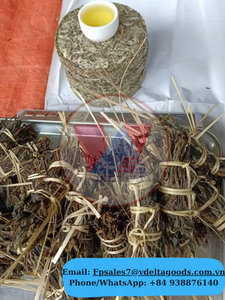 Tubo de Bambú de Té Shan Tuyet de Vietnam, Capullos de Té Selvático Premium Snow Shan / Proveedor a Granel / Empaque OEM ANGLE - Product Image 4