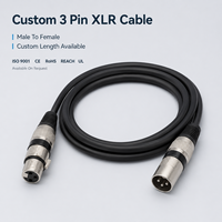 Câble d'extension de microphone blindé personnalisé 1m 3m 5m 10m, câble XLR 3 broches mâle vers femelle pour mixeur, enregistrement studio, audio