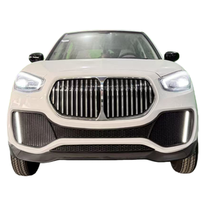 Nuevo SUV Eléctrico de Nueva Energía con Motor de 3500W, Batería de Plomo-Ácido, Autonomía Inferior a 100km, Interior Espacioso y Acabado de Lujo de Alta Gama - Product Image 1