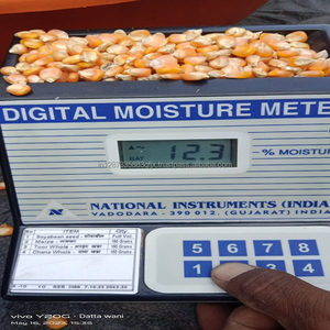 เมล็ดข้าวโพดสีเหลืองสำหรับม้าและปศุสัตว์ - Product Image 6