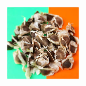Graines de Moringa, graines biologiques adaptées aux climats tropicaux - Product Image 1