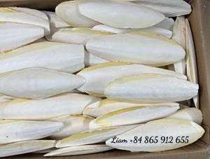 Huesos de Calamar/Sepia Secos de Origen Vietnamita, Grado A, para Uso en Peces, Caballos y Perros, Bolsas de PP de 25/50 kg, Modelo Katie +84352310575 - Product Image 4