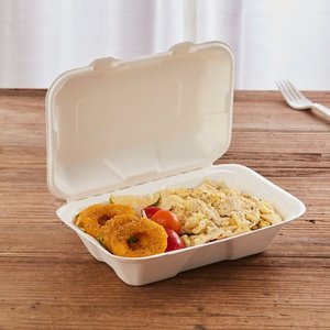 13x6 Inch Biodegradable Bagasse Food Container <b>with</b> <b>Lid</b> <b>Microwave</b> Safe Disposable Packaging for Airline Railway Catering Use - Product Image 1