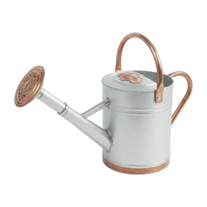 Regadera de Acero Galvanizado de 1 Galón Estilo Vintage con Asas de Cobre y Regadera Metálica Resistente al Óxido con Diseño de Rosa Extraíble - Product Image 1