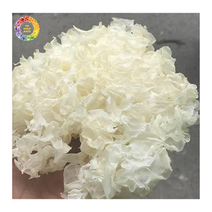 ราคาขายส่งเห็ดหูหนูขาวแห้ง เกรดพรีเมียม |   เห็ดหูหนูขาวแห้งคุณภาพสูง - Product Image 1