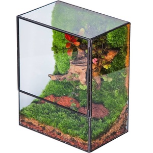 Terrario de Dos Formas Diferentes con Marco Dorado de Metal y Vidrio Transparente, Hecho a Mano en Acero Inoxidable - Product Image 3