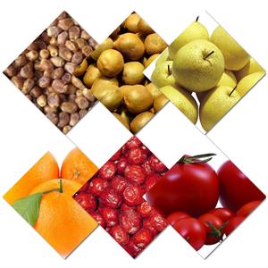 Máquina clasificadora de naranjas y arándanos de bajo consumo, precio de fábrica, para venta al por mayor. - Product Image 6