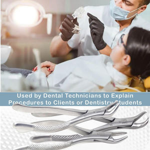 Juego de Pinzas de Extracción de Raíces Dentales Superiores de Acero Inoxidable de Alta Calidad, Instrumentos Quirúrgicos Manuales con Certificación CE Clase I - Product Image 2