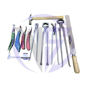 Professional 11-Piece Stainless Steel Farrier Tools Kit High Quality Horse Hoof <b>Care</b> Wenquar Surgical Instruments - Product Image 4