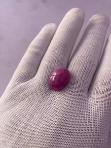 Rubí Estelar Natural de 17.83 Ct, Corindón Rojo Púrpura |   Cabujón Ovalado Grande, Gema Suelta - Product Image 5