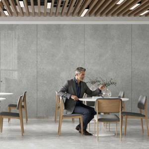 Herican Grande dalle de pierre frittée extérieure 160x320cm Carreaux Finition soyeuse grise mate pour sols et murs de luxe - Product Image 1