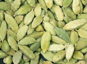 Nouvelle Saison 2026 : Cardamome Verte du Gujarat 100% Pure, Brute, Extra Forte en Grains pour Vente en Gros, Approvisionnement en Vrac et Exportation - Product Image 3