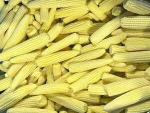 Maíz Bebé Congelado IQF de Vietnam, el Más Vendido, Calidad Premium, Directo de Fábrica, Saludable, Fresco, Dulce y Crujiente - Ms. Grace - Product Image 5