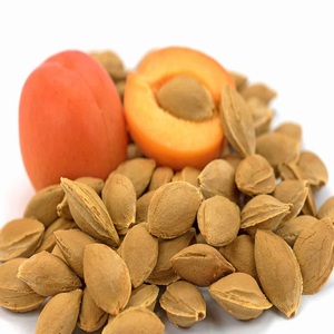 Noyaux d'abricot biologiques, sélection naturelle premium, saveur riche et noisette, adaptés aux collations, aux produits de boulangerie et aux confiseries - Product Image 1