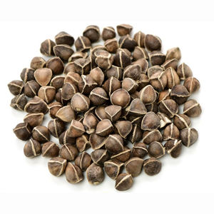 Semillas de moringa multiusos para la producción de alimentos y aceite - Product Image 3
