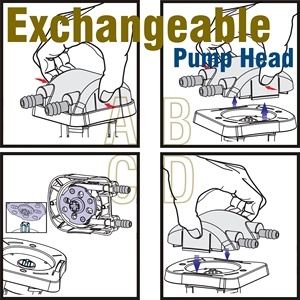 Peripump Accessory - Pump Head Assembly with Barbed Fittings and PharMed BPT Peristaltic Tube - Product Image 3