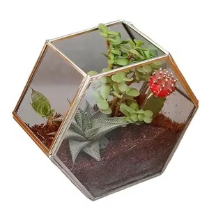 Stylish Accent Metal Terrarium Glass Planter Decorative Indoor Plant Holder Geometric Home Decor - Product Image 6