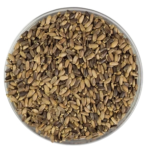 Proveedor de Semillas de Cardo Mariano a Granel |   Semilla de Silybum Marianum |   Materia Prima Herbal Seca Natural al por Mayor - Product Image 3