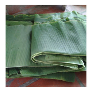 ใบตองแช่แข็งขนาดใหญ่หลากหลายขนาดสำหรับใช้ในอุตสาหกรรมและร้านอาหาร - Product Image 1