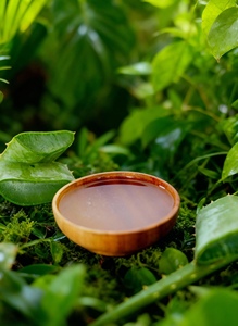 Versatile aloe vera <b>extract</b> liquid with clear for cosmetic formulations and general raw material applications - Product Image 4