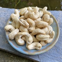 Hoge Kwaliteit Biologische Cashewnoten W320 W240 Vietnam Groothandel Met Husker Gedroogde Vruchten Laag Vet Rauwe Cashewnoten
