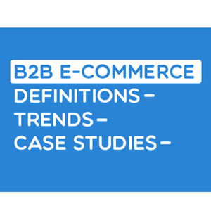 Client Corporate Commerce <b>Hub</b> UI UX Layout Architecture Responsive <b>Online</b> Storefront Development Project - Product Image 5