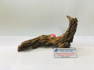 Thanh Tung Thinh Porte-bougie à la bougie chauffe-plat en bois flotté naturel durable, fait main, décoration d'intérieur Vietnamienne - Product Image 6