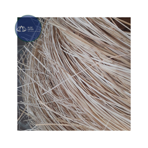 [BEST SELLER] |   Diffuseur d'arômes artisanal en rotin, bâtonnets de roseau, conteneur de parfum, décoration d'intérieur, vente en gros Vietnam - Product Image 1