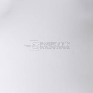 Vêtements d'arts martiaux en promotion, rashguard BJJ, design personnalisé, matière durable, rashguard BJJ pour hommes - Product Image 5